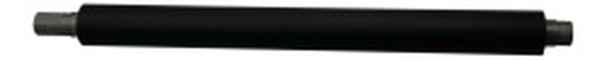 AE020175