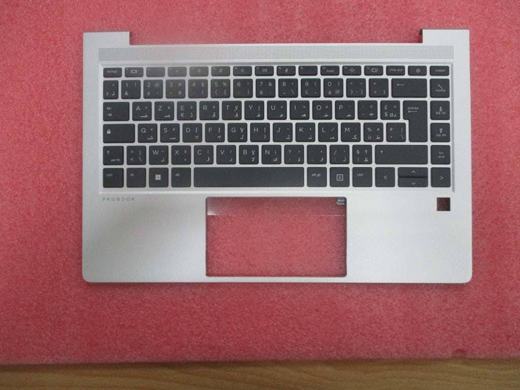 N42406-FP1