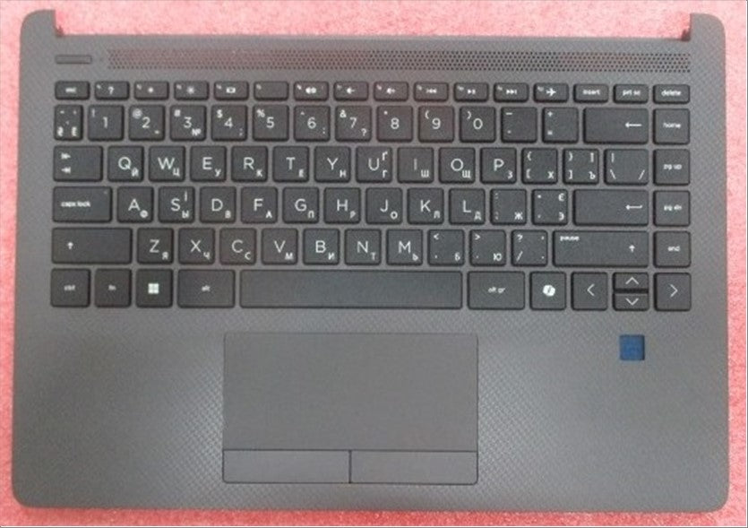 P00366-BD1