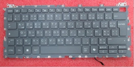 P40432-FP1