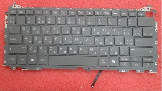 P42311-BD1